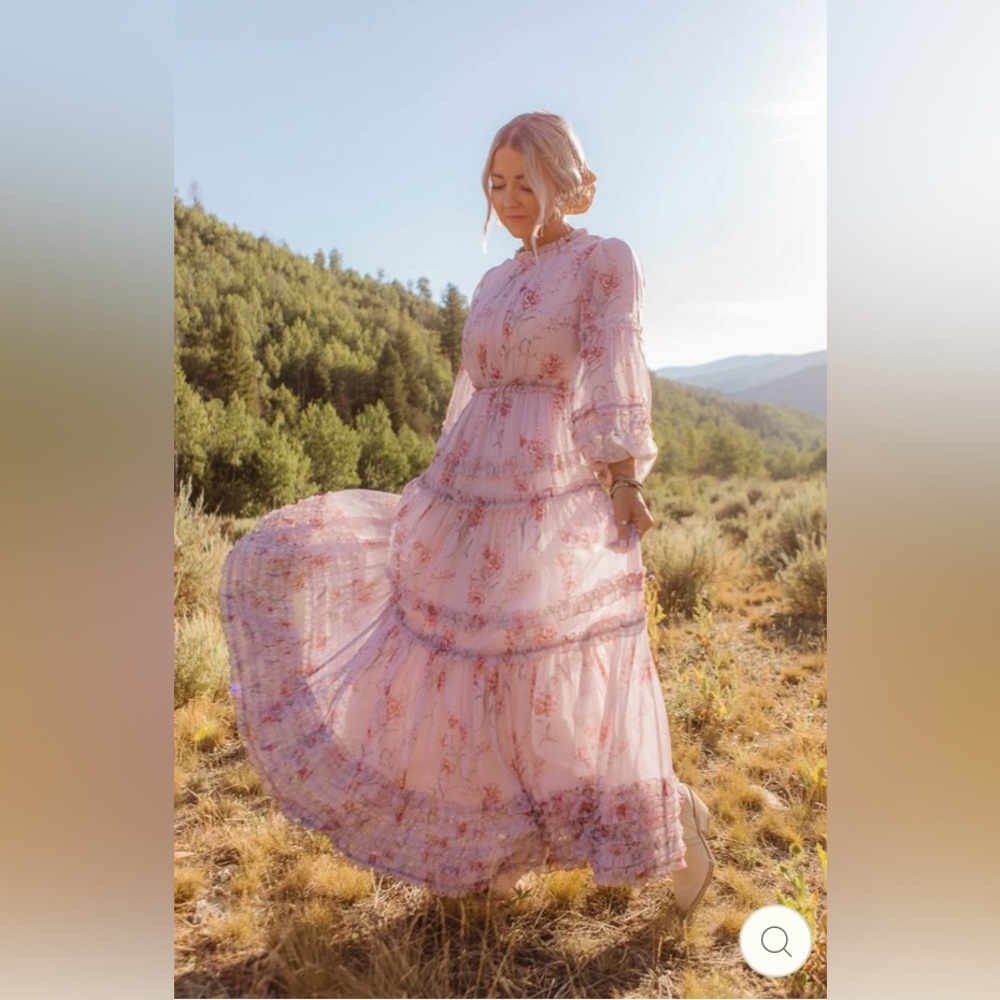 Ivy City Co Geneva Dress